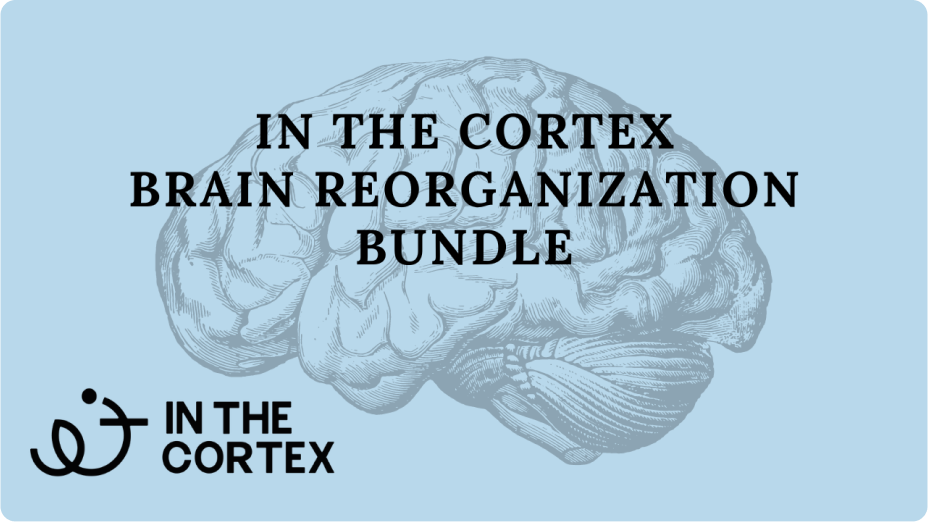 itc-brain-reorganitation-bundle