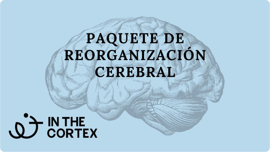 itc-reorganizacion-cerebral-bundle
